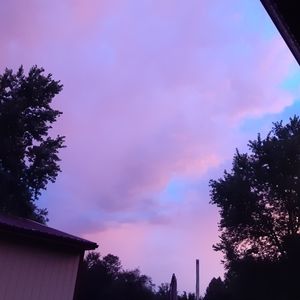 Meet your Posher, Kaylee